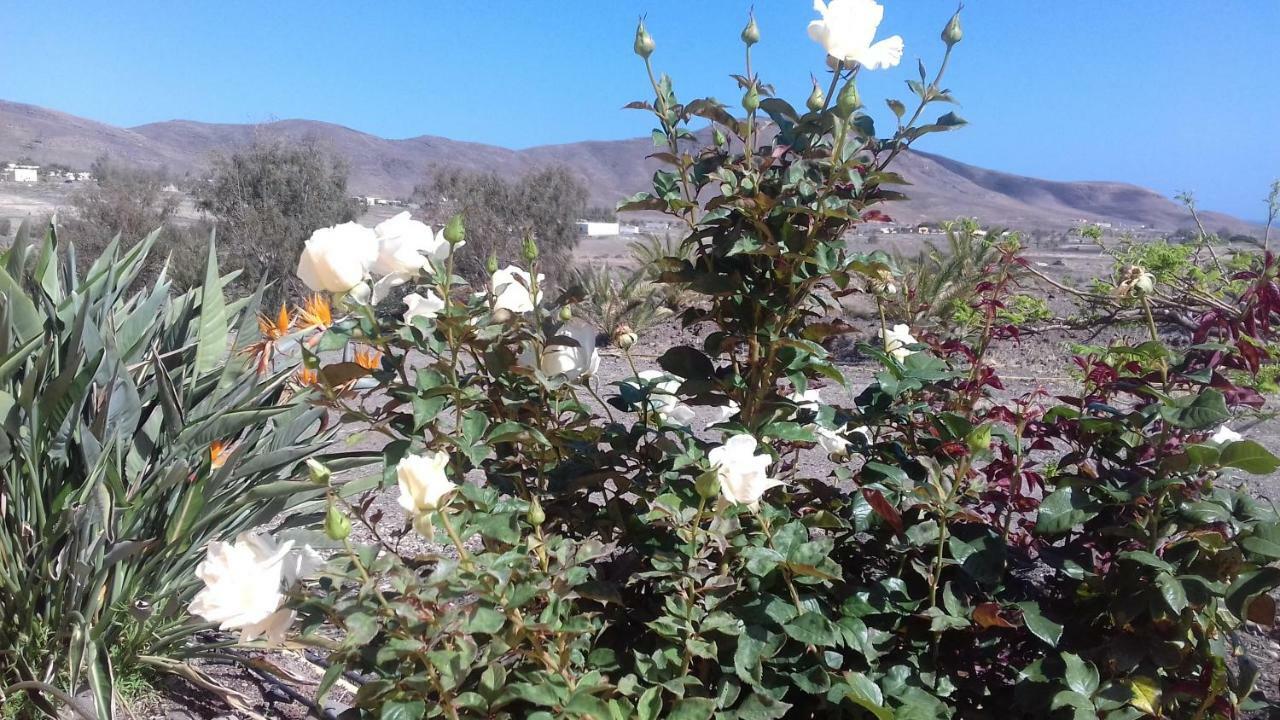 Finca Los Rosales Lajita Eksteriør bilde