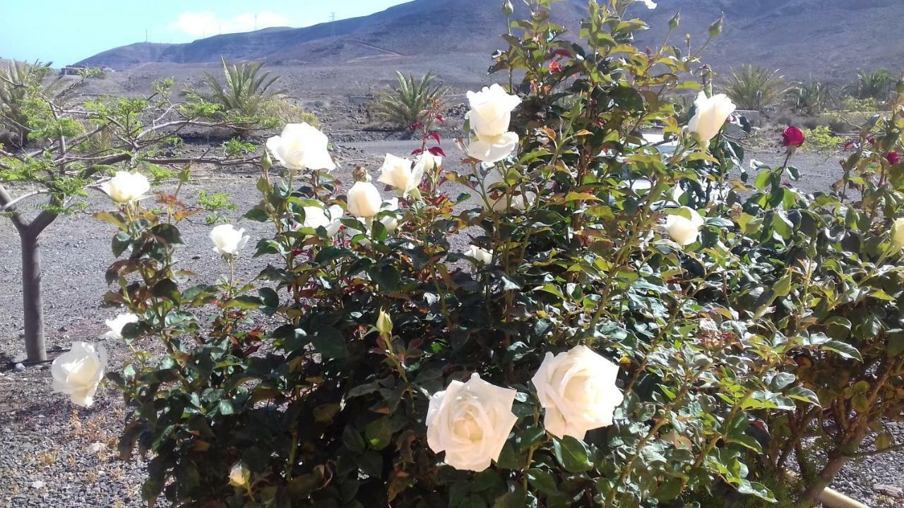 Finca Los Rosales Lajita Eksteriør bilde