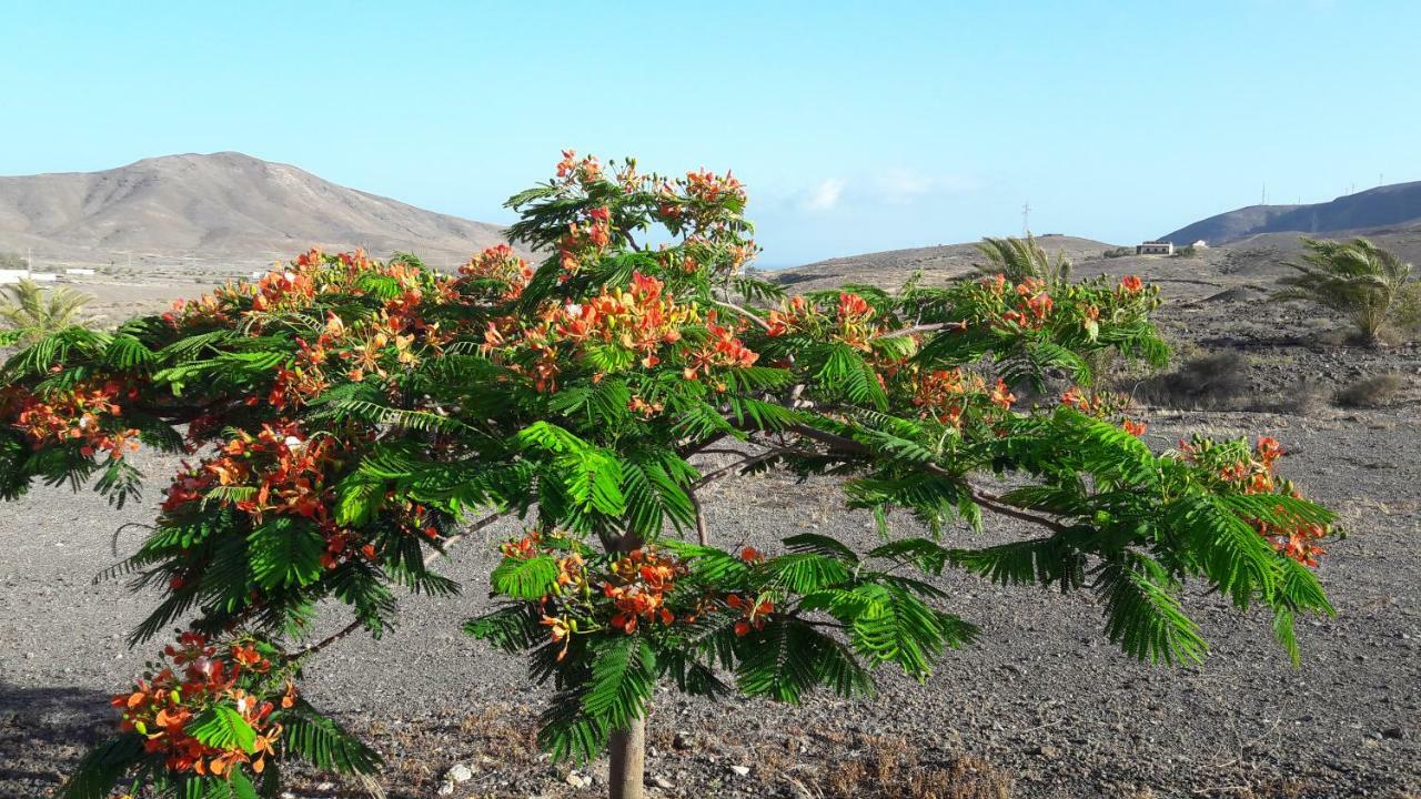 Finca Los Rosales Lajita Eksteriør bilde